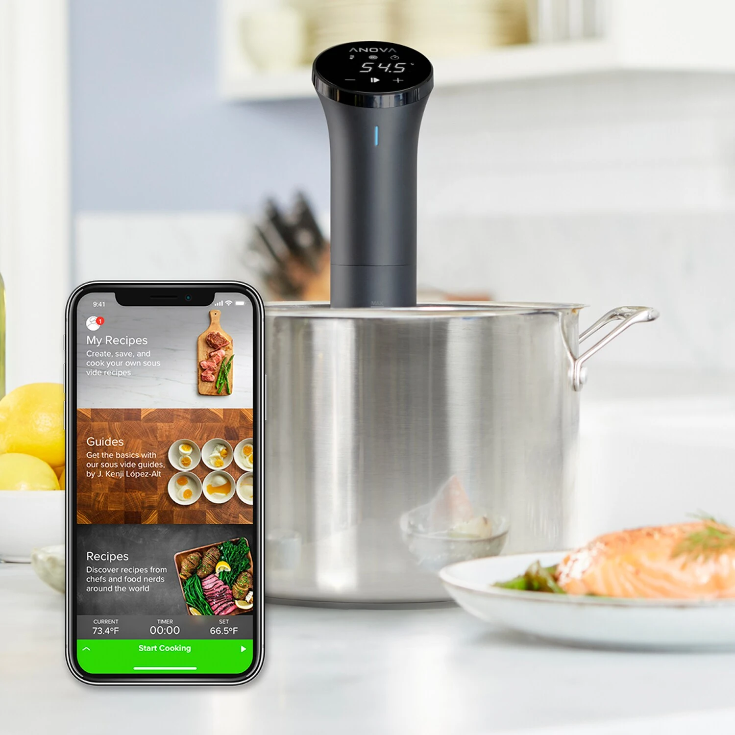 Anova Precision Nano Sous Vide Nedsænkningscirkulator - Billede 6